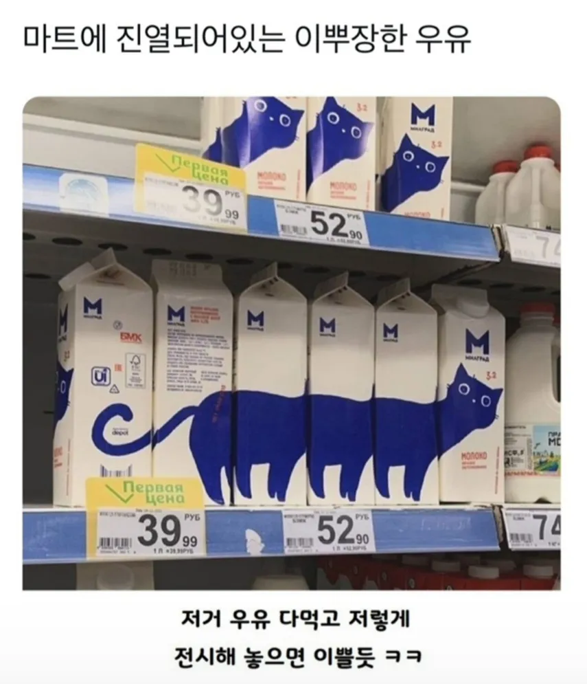 마트에 진열된 알록달록한 우유 팩