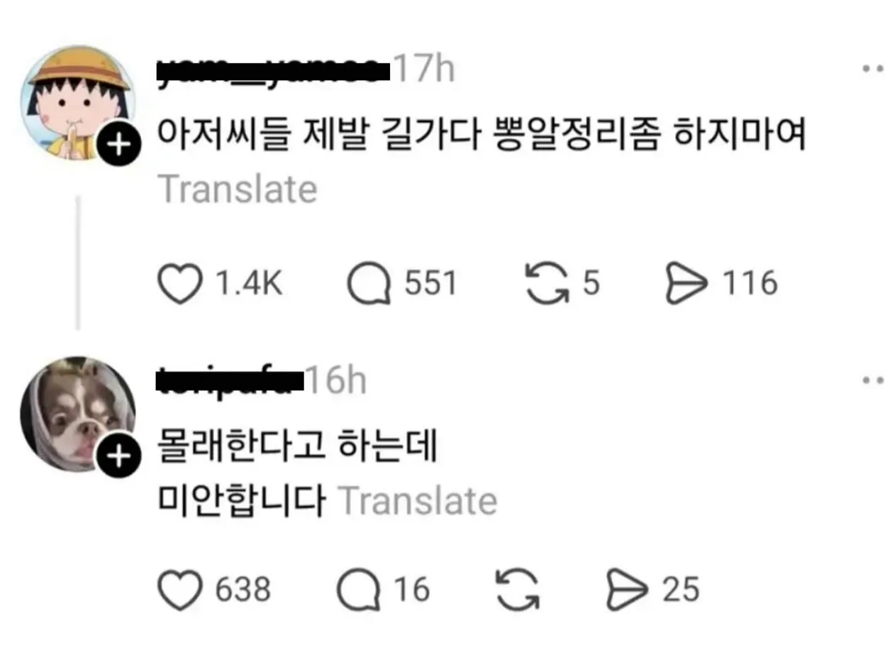 길에서 민망한 행동을 자제해 달라는 글과 좀비 감염에 대한 질문이 담긴 화면