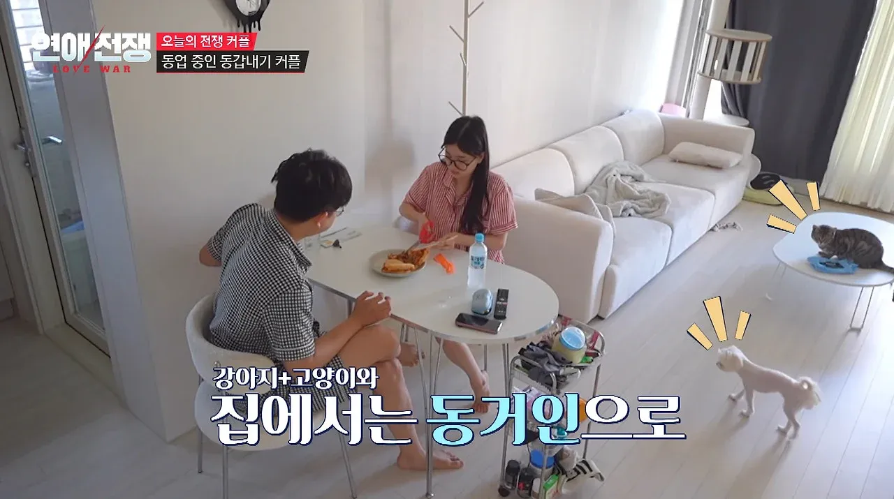 동갑내기 동업 커플과 강아지·고양이의 동거 생활