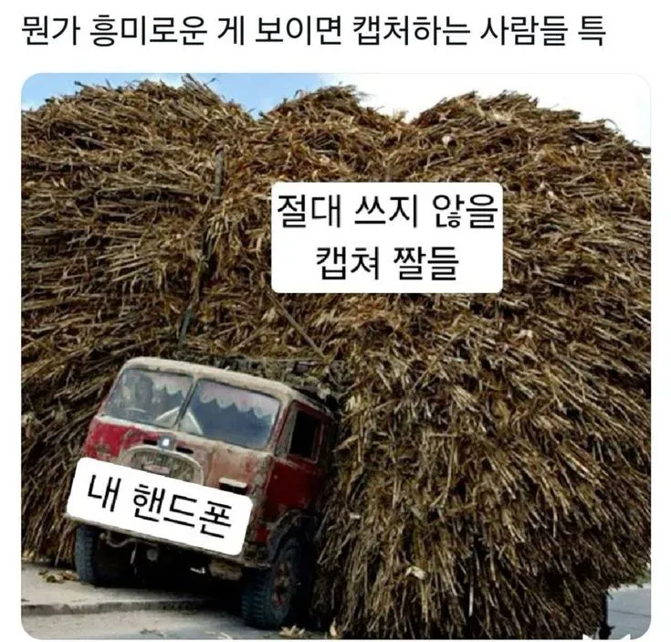 흥미로운 것을 보면 캡처하지만 다시 쓰지 않는 이미지들