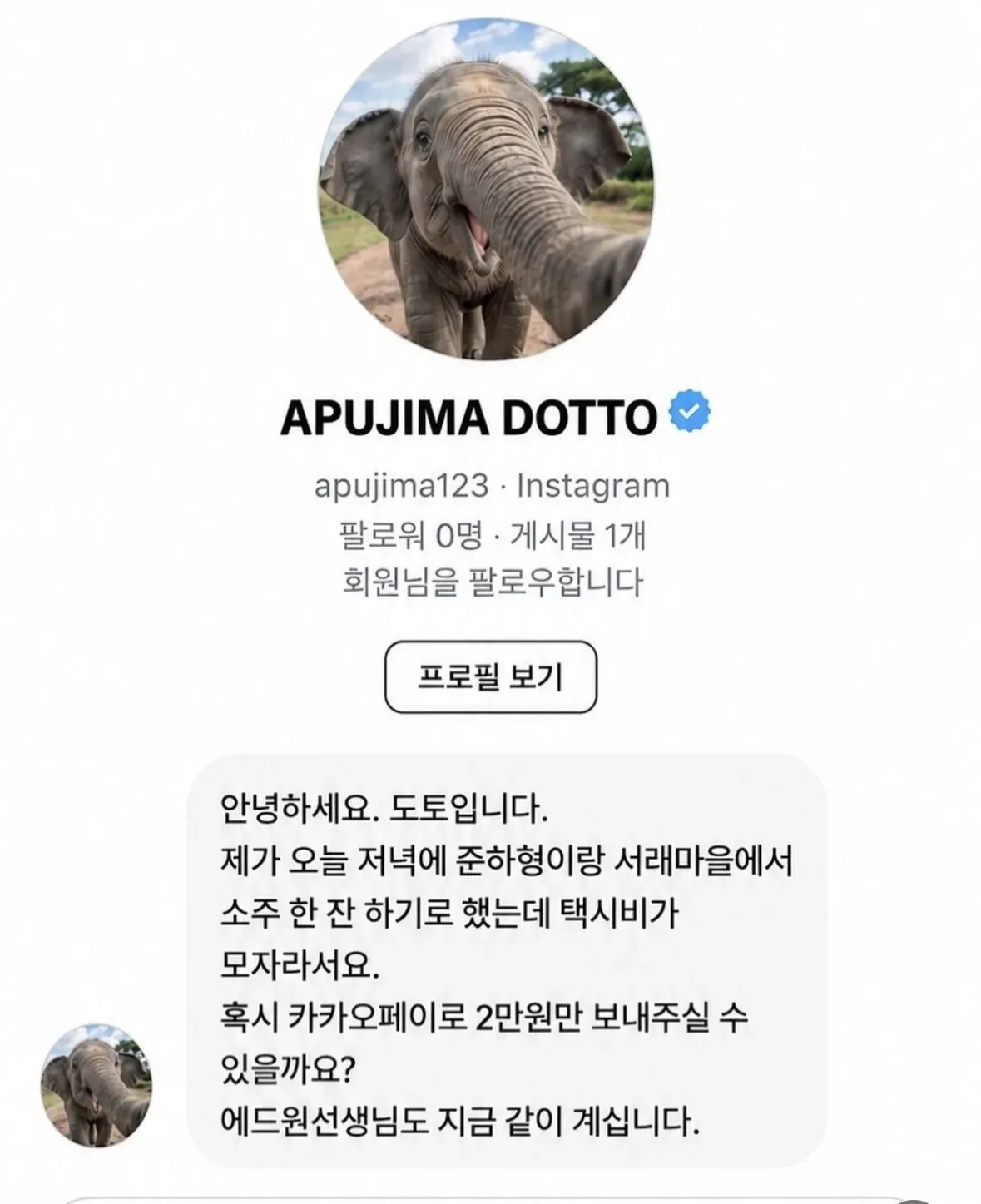 도토가 택시비로 카카오페이 2만원을 부탁하는 메시지