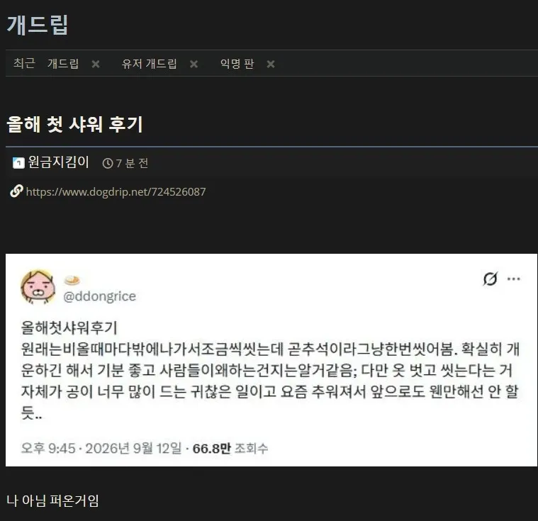 ‘올해 첫 샤워 후기’라는 제목의 온라인 게시글 캡처