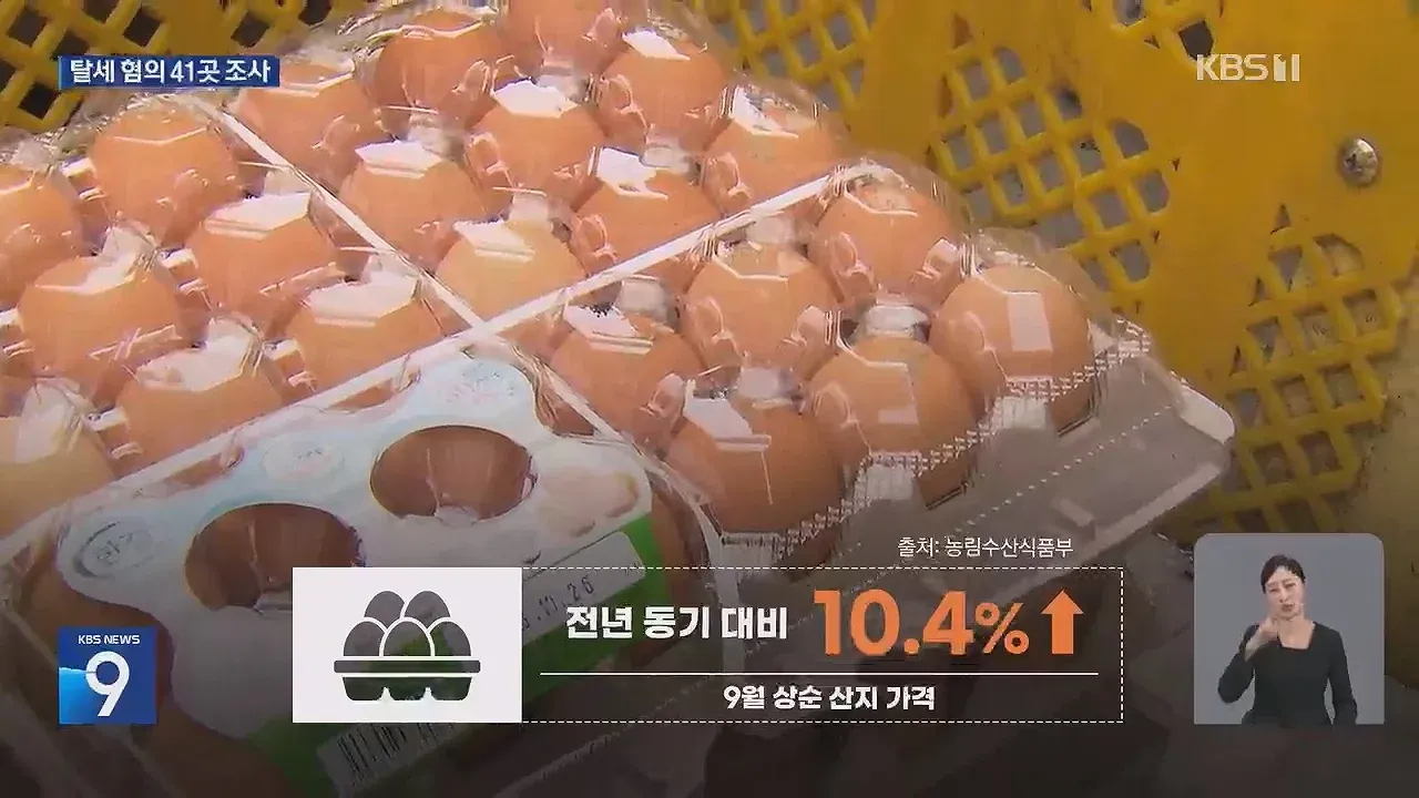 정부, 금계란 수익 축소 신고 41개 업체 세무조사