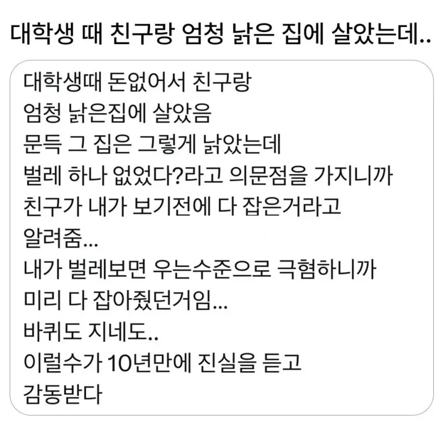 낡은 집에서 벌레를 미리 잡아준 친구의 배려를 10년 만에 알게 된 사연