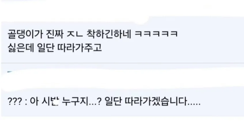 미용실 다녀온 뒤 못마땅한 표정을 짓는 골든리트리버