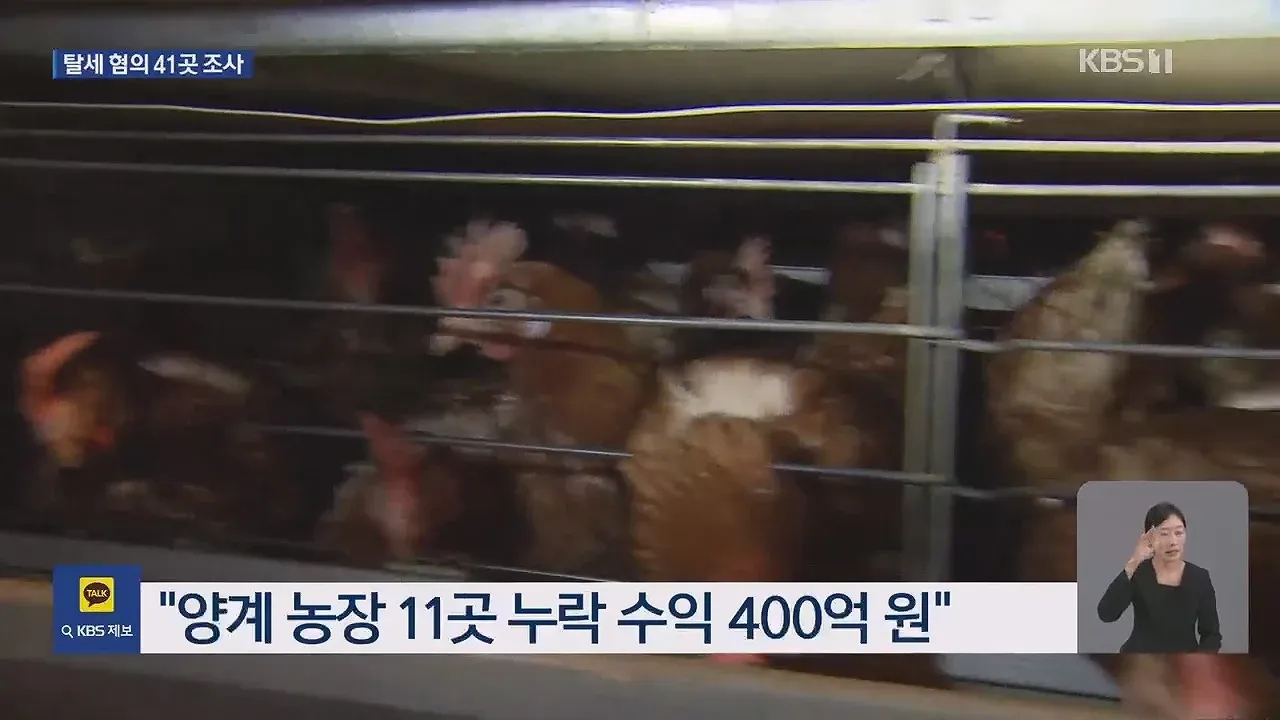 탈세 혐의 41개 업체 세무조사, 양계 농장 11곳 누락 수익 400억 원