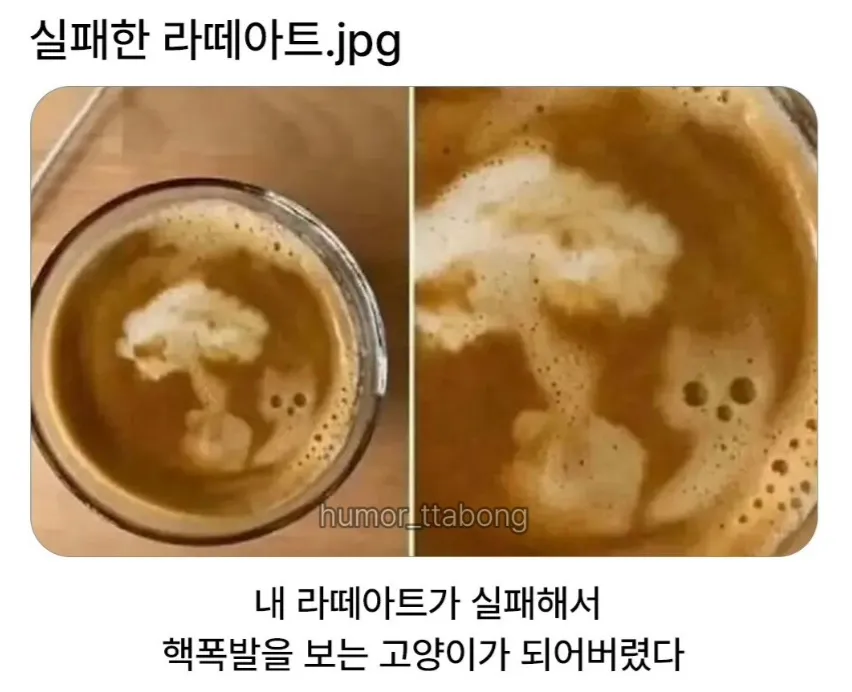 실패한 핵폭발 모양 라떼아트를 바라보는 고양이