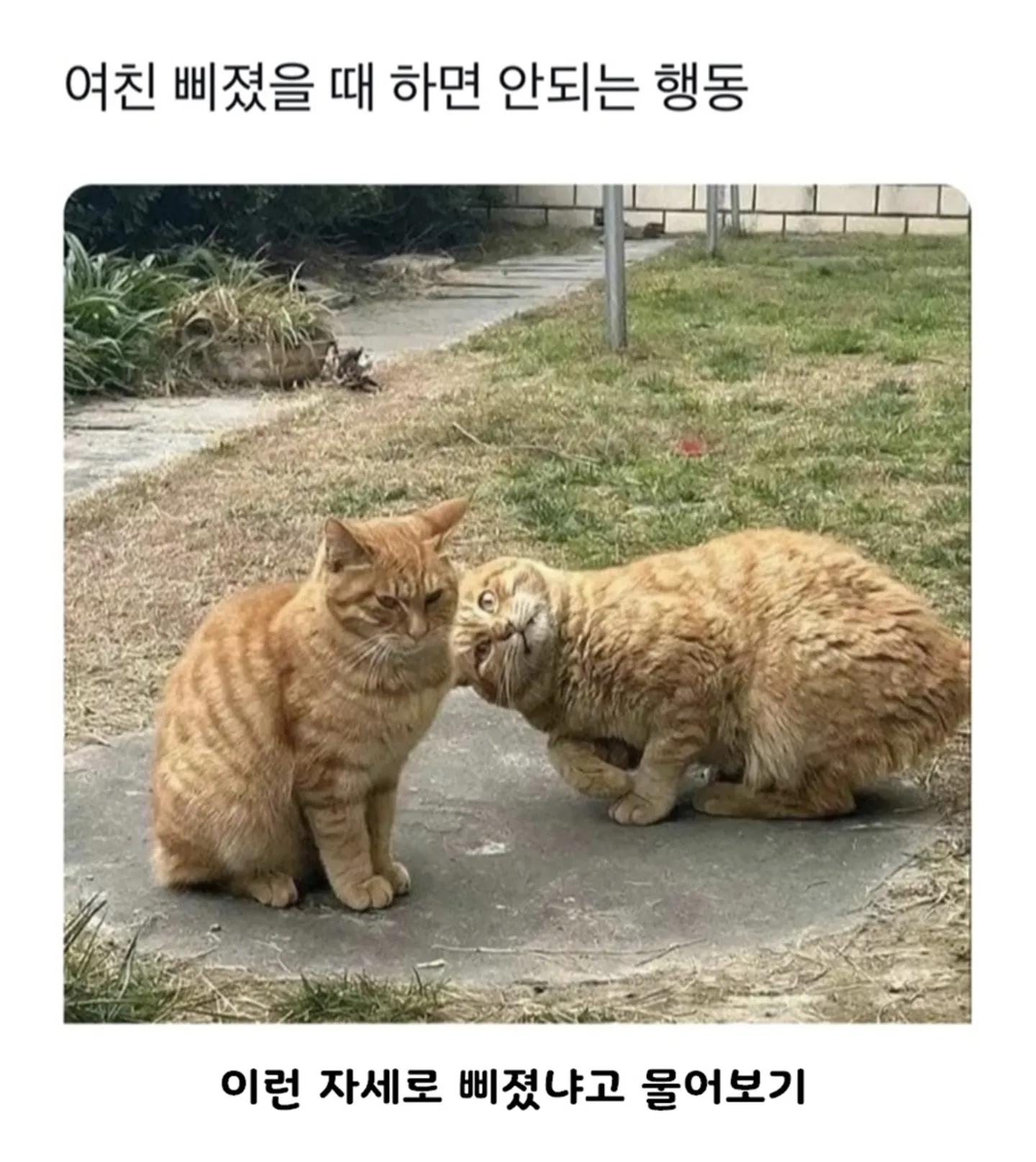 여친이 삐졌을 때 이런 자세로 묻지 않기