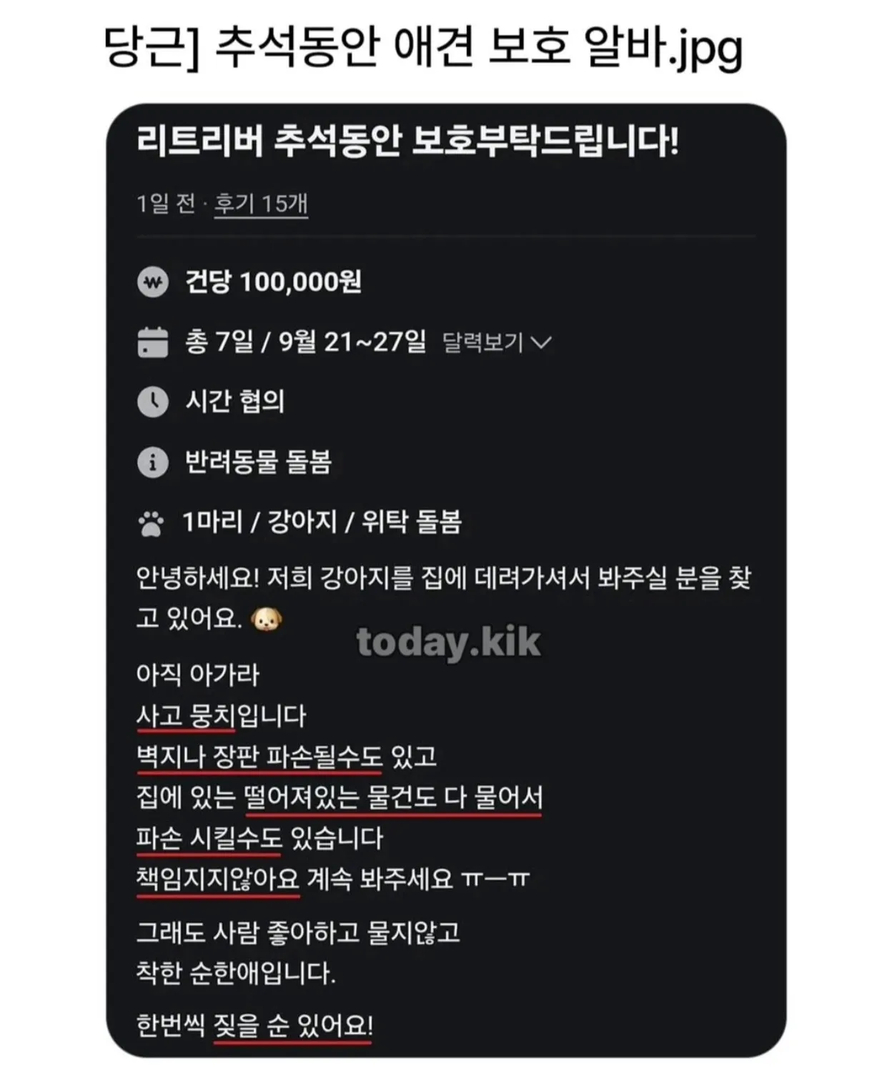 추석 기간 리트리버 7일 위탁 돌봄 구인 게시글