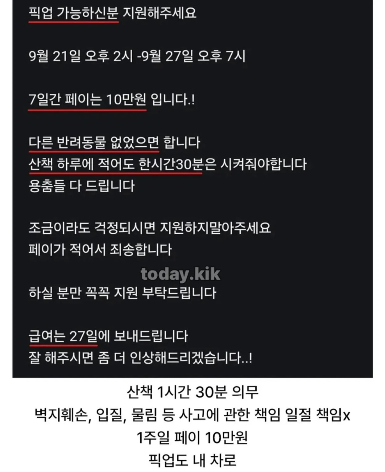 추석 기간 강아지 보호 알바 모집, 7일 급여 10만원