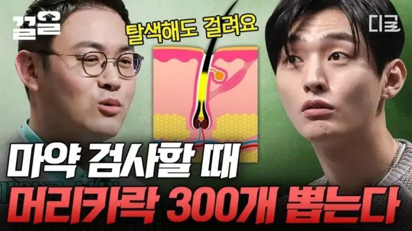 탈색해도 적발되는 마약 검사와 머리카락 300개 채취 અંગે