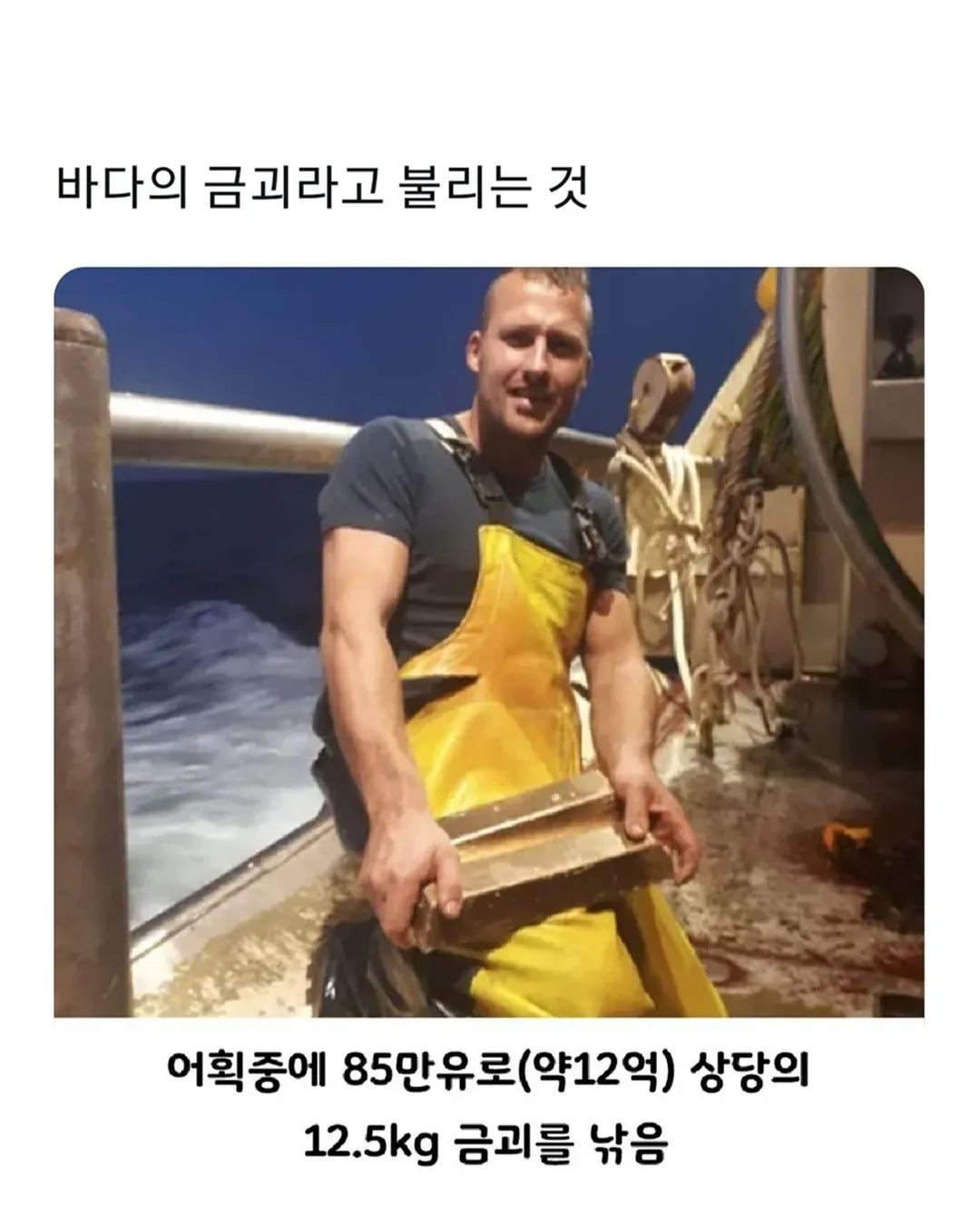 어획 중 85만 유로 상당의 12.5kg 금괴를 낚음