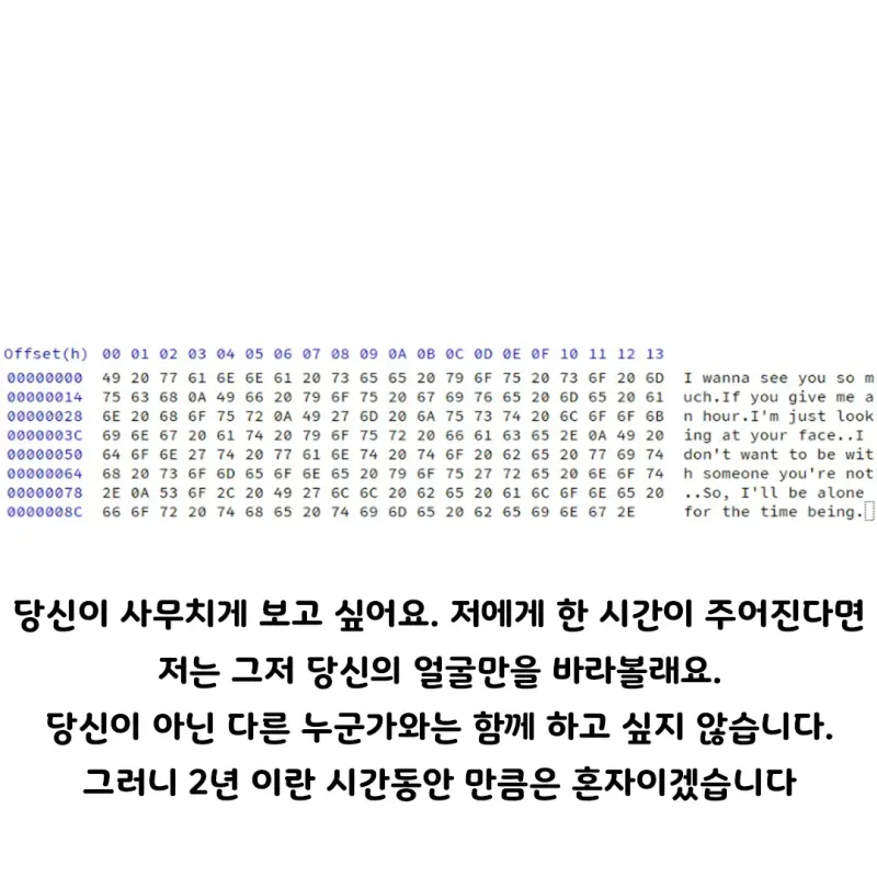 이과생 여자친구가 쓴 2년간의 위문편지