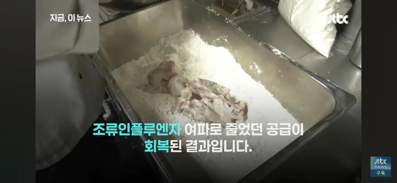 조류인플루엔자 여파로 줄었던 닭고기 공급이 회복돼 닭값이 하락한 상황