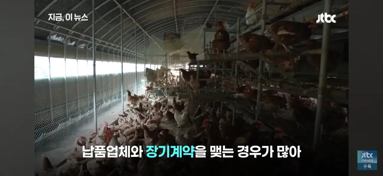 닭값 하락에 치킨업계, 납품업체와 장기계약 늘어