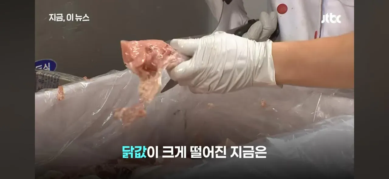 닭값 하락에 눈치 보는 치킨업계 관련 뉴스 화면