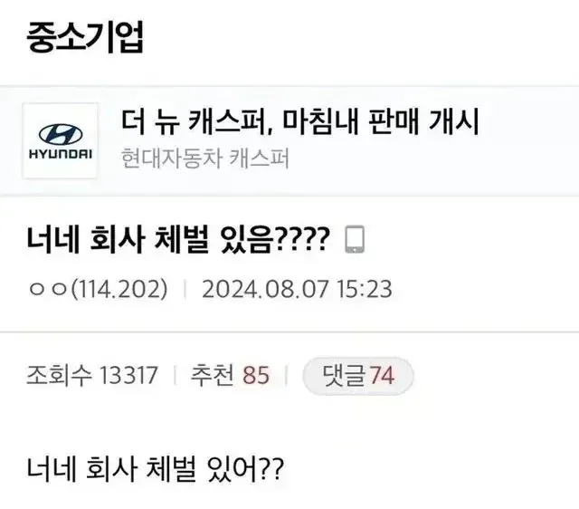 더 뉴 캐스퍼 판매 개시를 알리는 현대자동차 광고
현대자동차 캐스퍼 차량 이미지
“너네 회사 처벌 있음????”이라는 문구
“너네 회사 처벌 있어??”라는 문구
“중소기업 갤러리