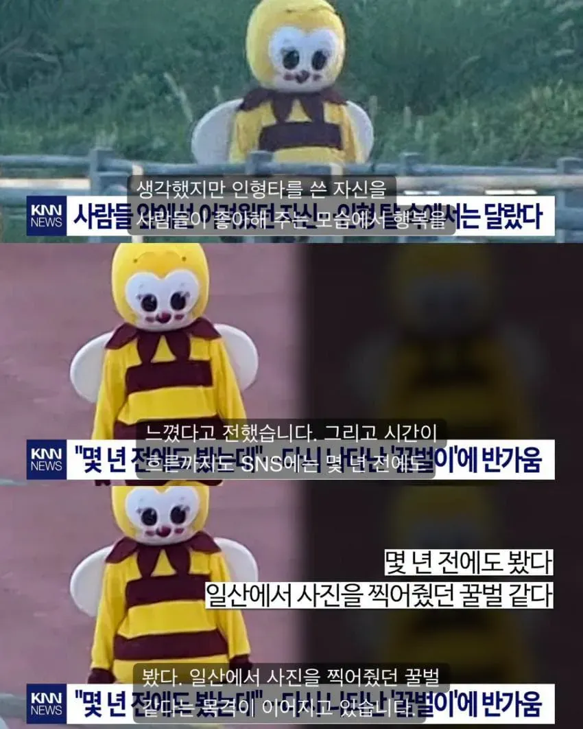 일산에서 9년째 목격된 꿀벌 인형탈 캐릭터