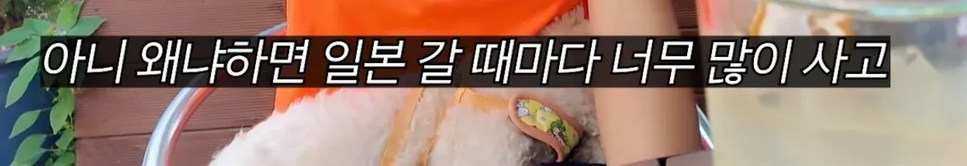 아내가 남편의 2억원어치 수집품을 200만원에 판매