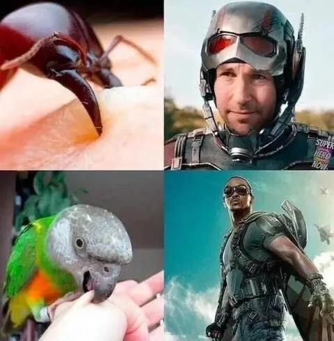 SUPER HERO NOW 문구가 있는 물리면 생기는 변화들 이미지