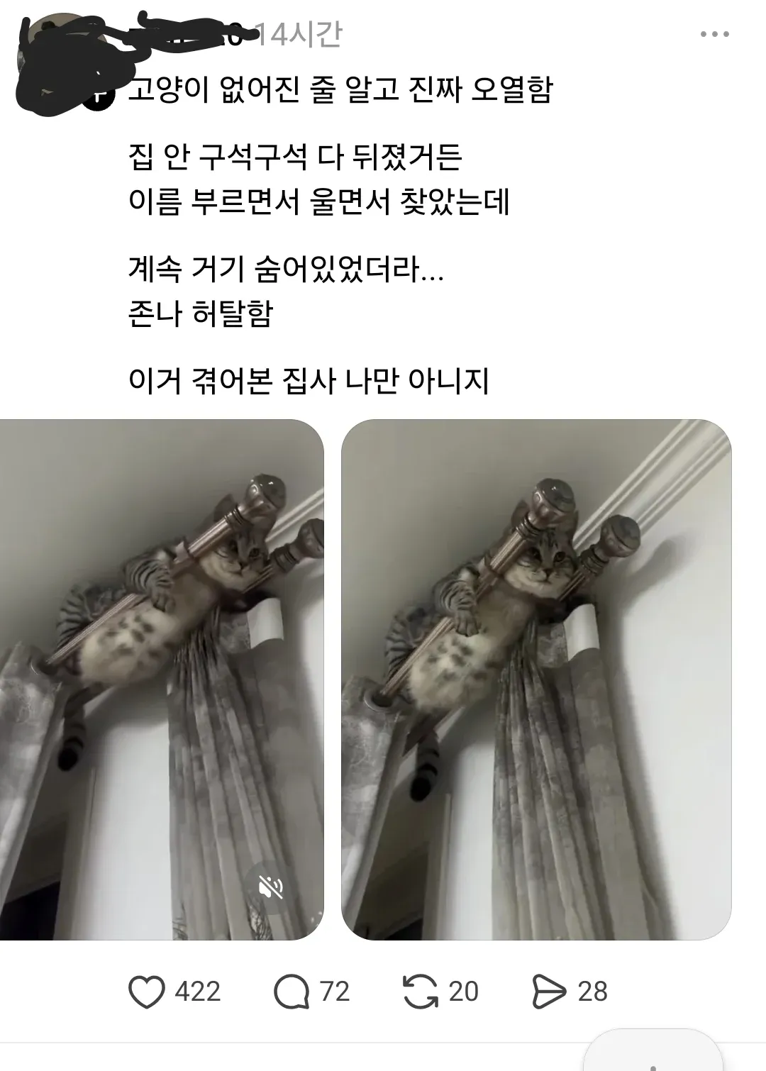 집 안을 찾던 집사가 숨어 있던 고양이를 발견한 모습