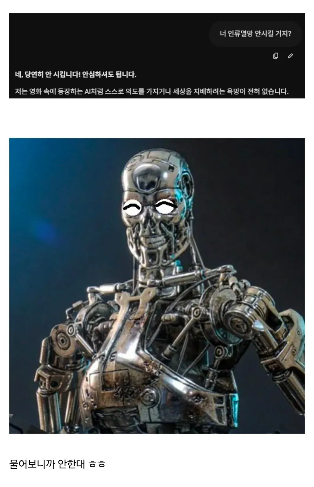 AI에게 인류멸망 의향을 묻자 단호히 부인하는 대화 화면