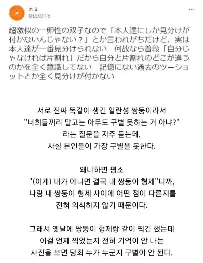 초激似의 일란성 쌍둥이가 과거 함께 찍은 사진에서 서로를 구별하지 못한다는 내용을 담은 밈 이미지