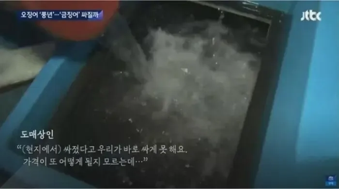 오징어 풍년에도 가격은 여전히 불안정하다는 뉴스 화면
