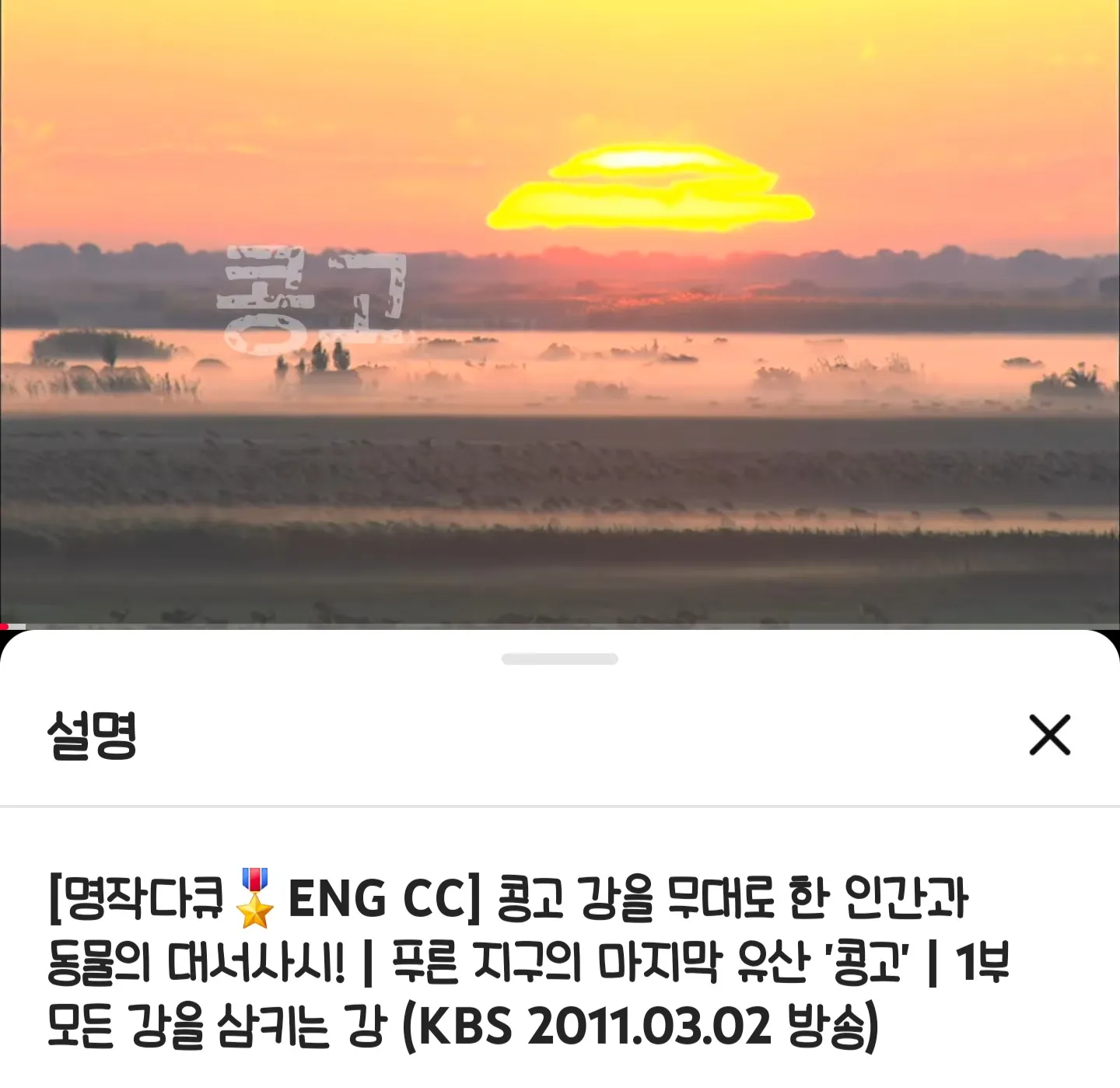 콩고 강의 인간과 동물을 다룬 KBS 명작 다큐멘터리 썸네일