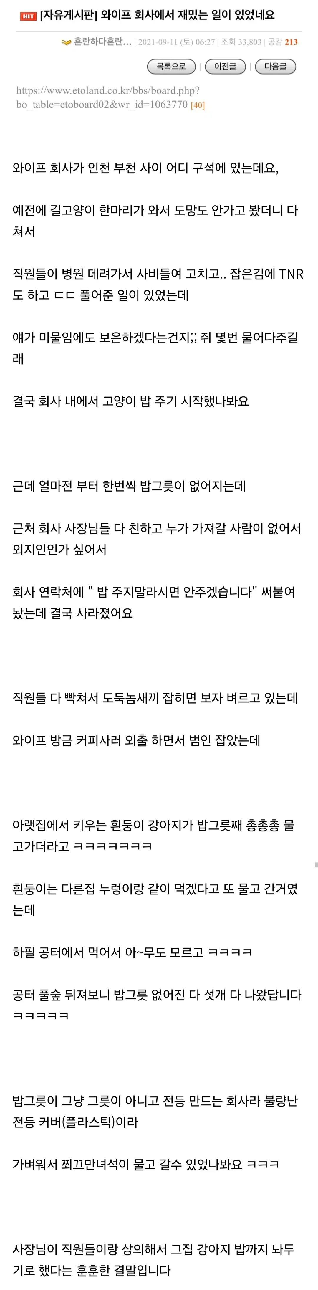 고양이 밥그릇을 물고 간 강아지가 발견된 사연