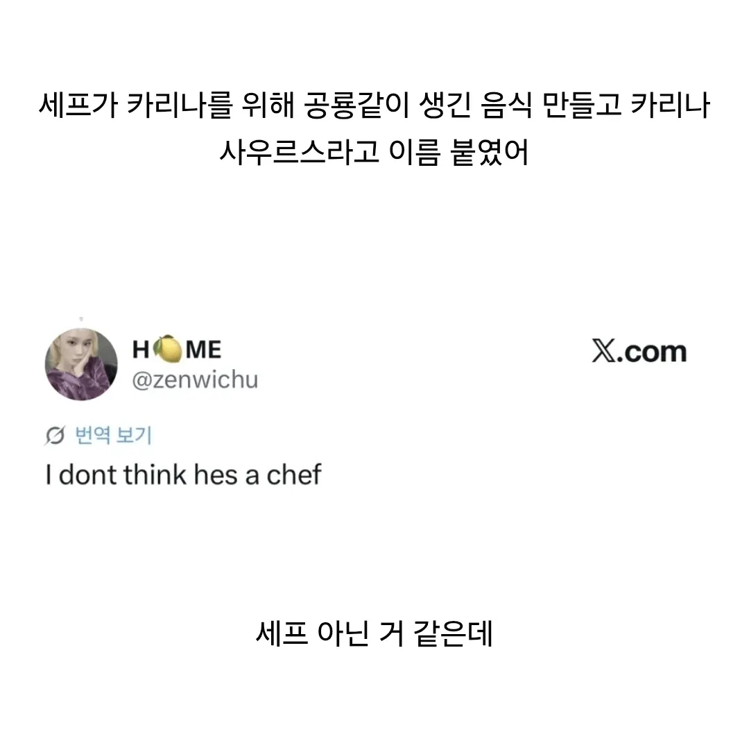 카리나를 위해 만든 공룡 모양 음식과 설명 자막