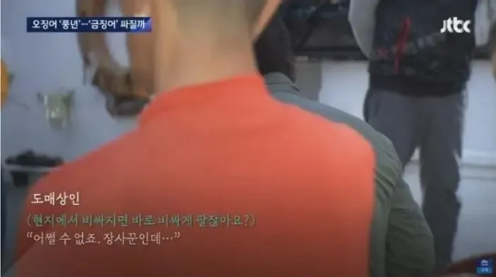 오징어 풍년에도 비싼 금징어와 물가 부담을 말하는 도매상인