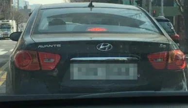 AVANTE MD, 내가 유일하게 신고하는 차