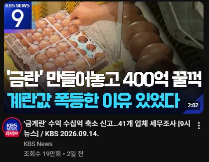‘금란’ 만들어 400억 꿀꺽…계란값 폭등, 41개 업체 세무조사