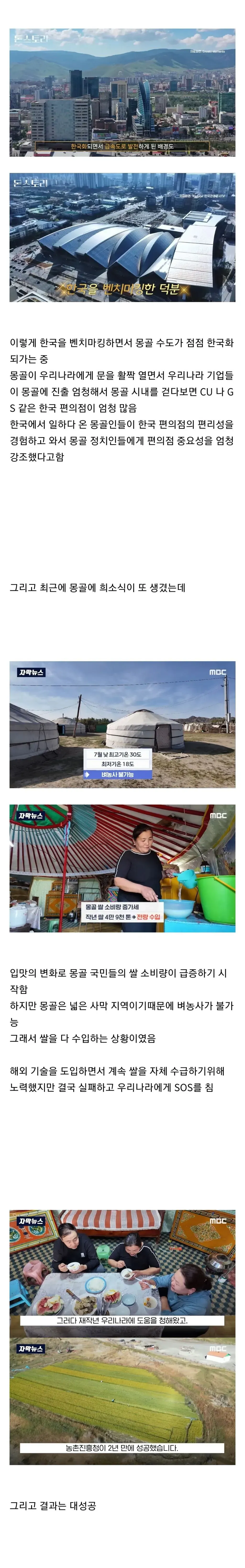몽골의 한국화와 한국의 벼농사 지원을 소개한 인포그래픽