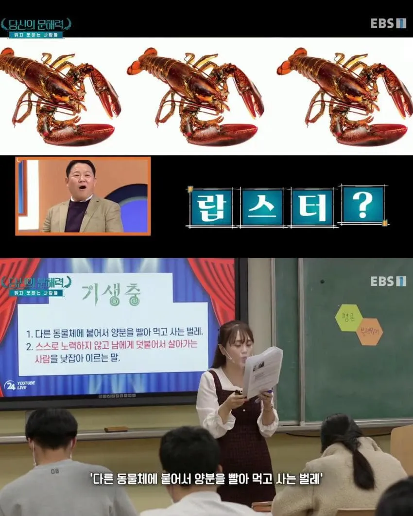 ‘기생충’을 벌레로만 이해한 사람들의 문해력을 풍자한 이미지