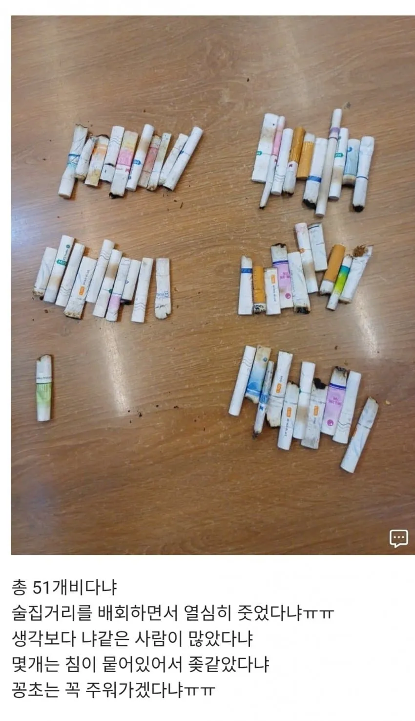 술집 거리에서 주운 담배꽁초 51개비를 인증하는 글