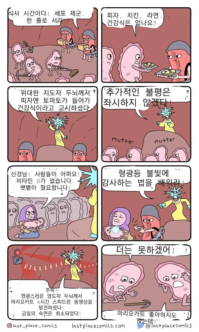 뇌의 명령에 반발하는 세포들의 식사·햇볕·수면 투정