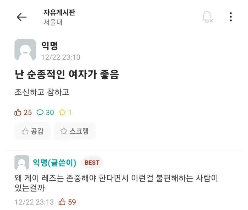 ‘서울대생의 이상형’ 제목과 순종적인 여성 선호 발언이 담긴 이미지
