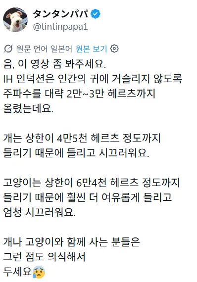 인덕션 소음이 개와 고양이에게 더 크게 들린다는 설명