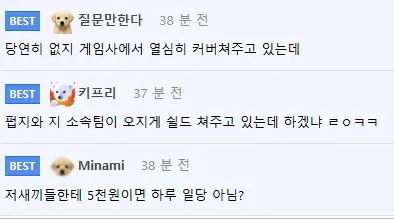 게임사와 소속팀이 배틀그라운드 방플 의혹을 감싼다는 내용의 댓글 화면