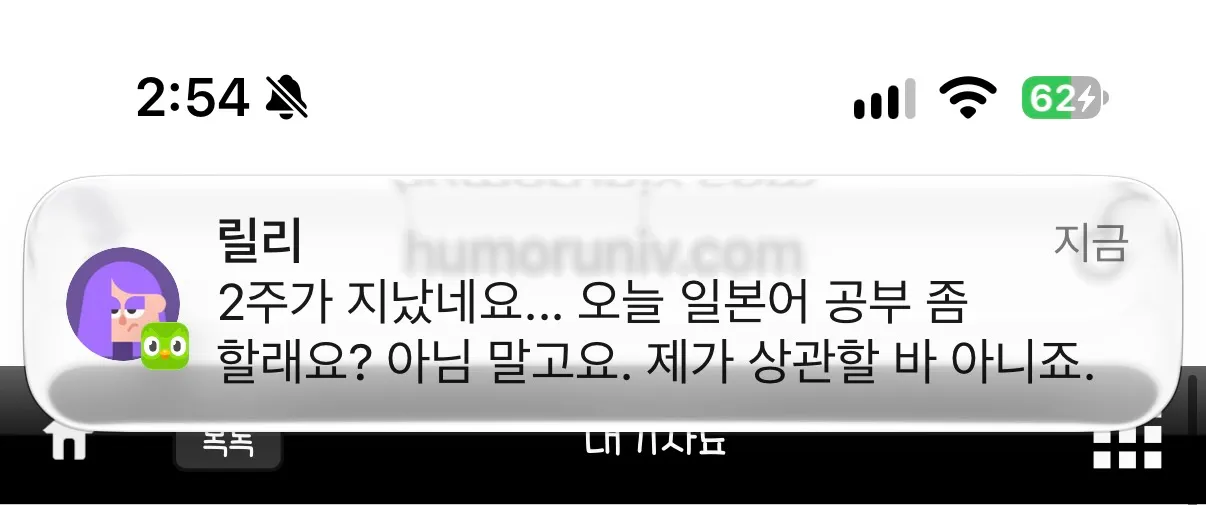 일본어 공부를 독촉하는 듀오링고 메시지 캡처