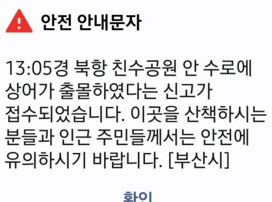 부산 북항 친수공원 수로에 상어 출몰, 산책객과 주민 주의