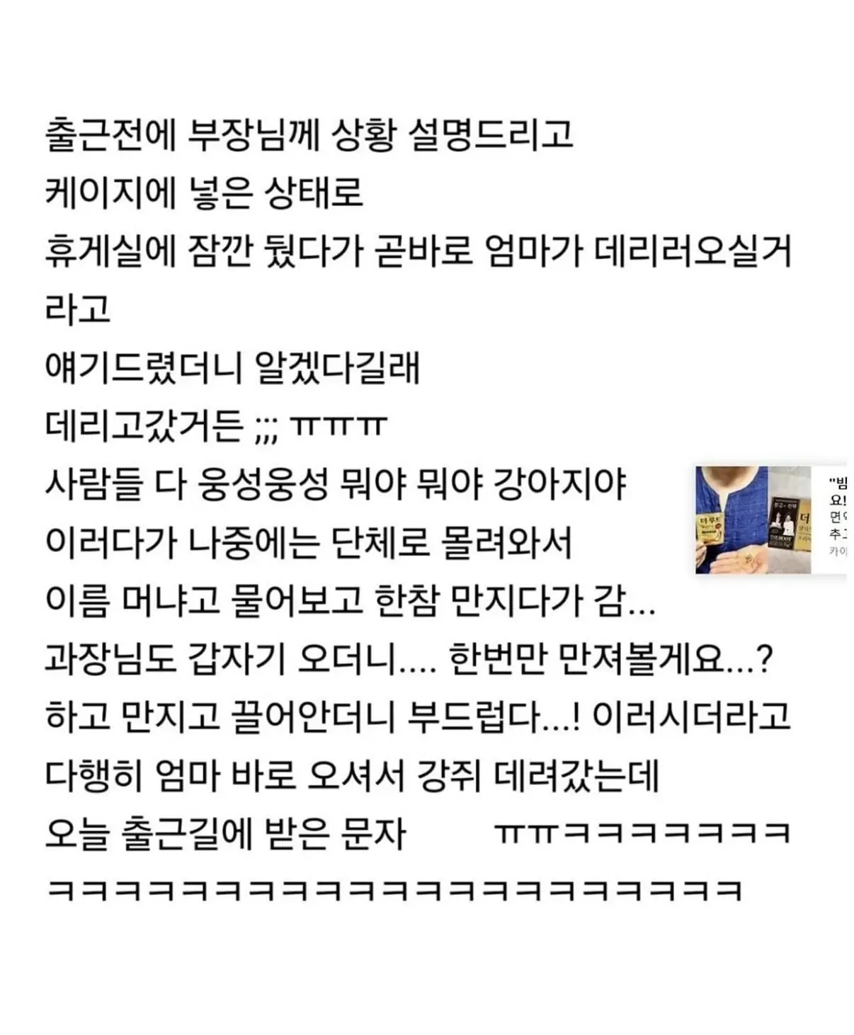 강아지를 회사에 데려갔다가 동료들의 관심을 받은 사연을 담은 게시물