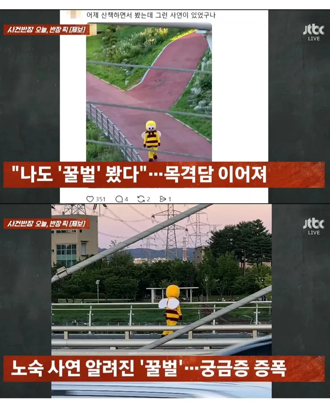 JTBC 사건반장에서 소개한 꿀벌 인형탈 목격담과 노숙 사연