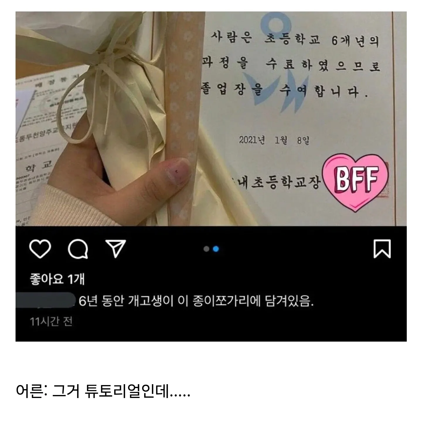 초등학교 졸업장과 ‘6년 동안 개고생’이라는 문구가 담긴 밈 이미지