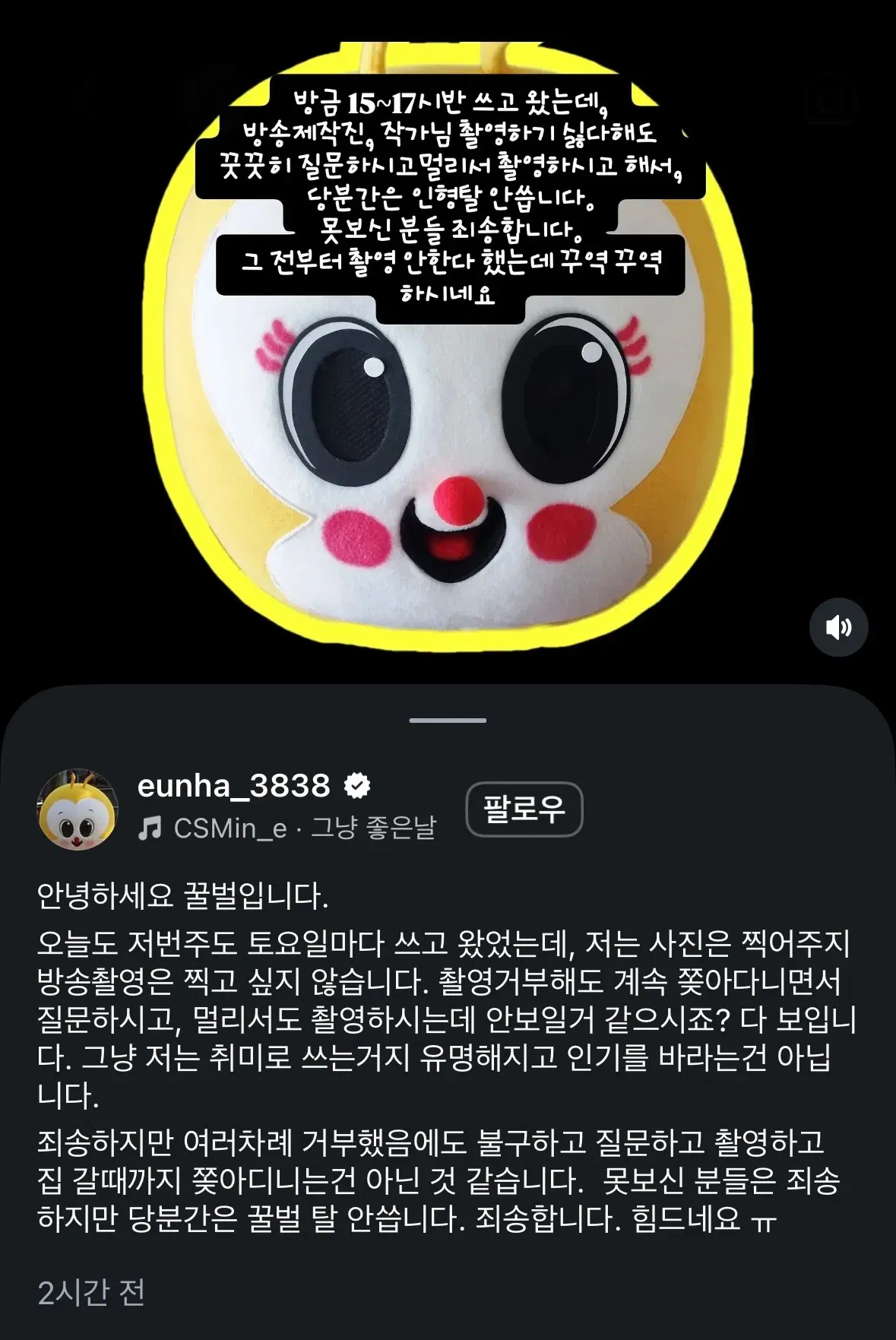 촬영을 거부한 꿀벌 인형탈 착용자가 방송 카메라에 촬영된 모습