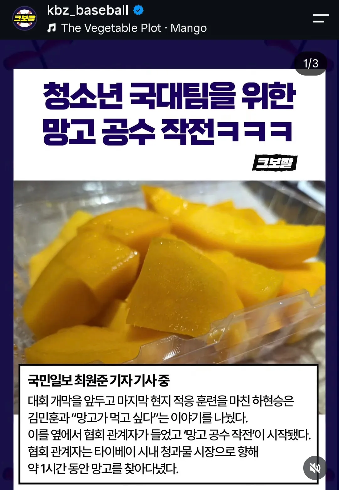 청소년 국가대표 선수들이 대만 망고를 들고 있다