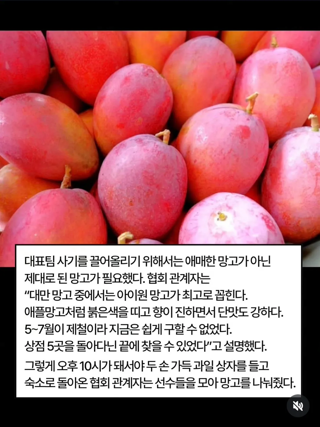 청소년 대표팀 선수들이 대만 망고를 나눠 먹고 있다.