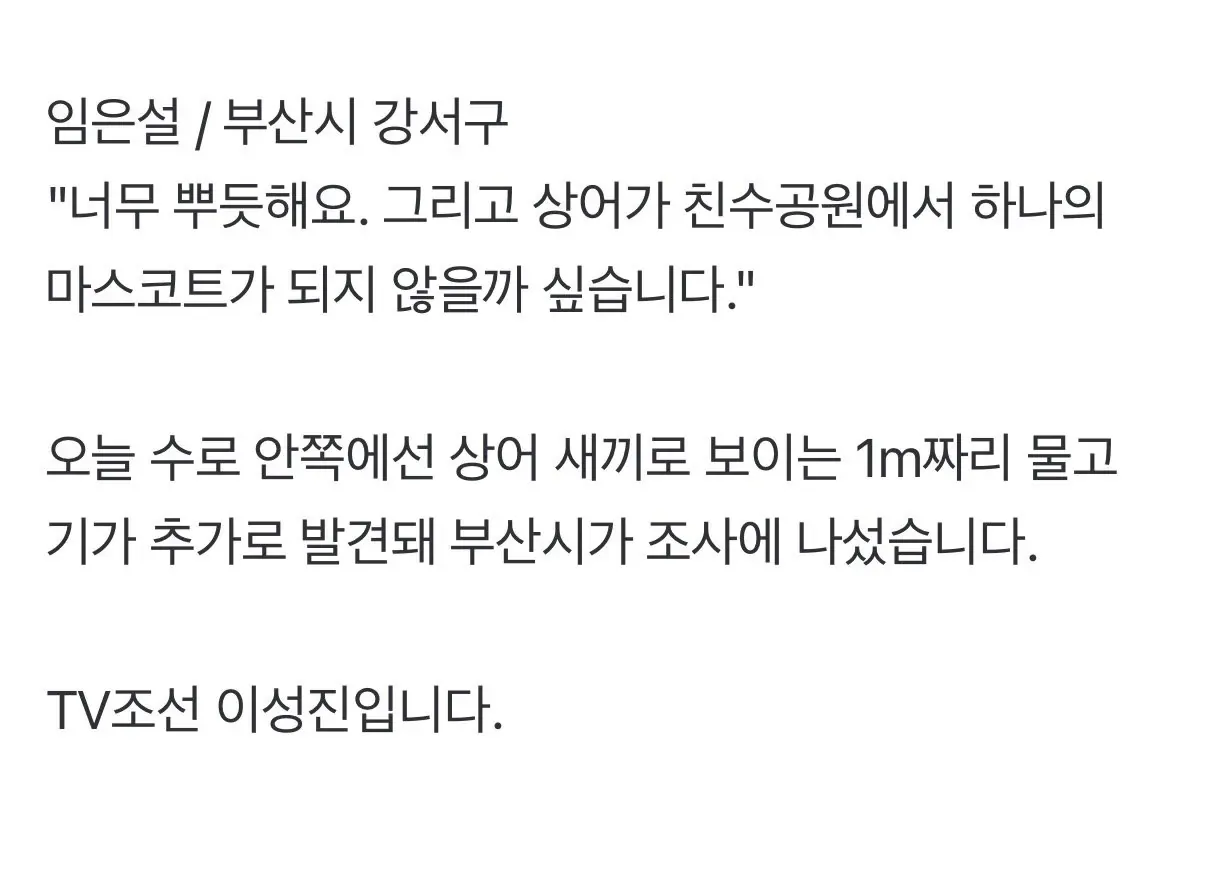 임은설 / 부산시 강서구

"너무 뿌듯해요. 그리고 상어가 천수공원에서 하나의 마스코트가 되지 않을까 싶습니다."

오늘 수로 안쪽에선 상어 새끼로 보이는 1m짜리 물고기가 추가로 발견돼 부산시가 조사에 나섰습니다.

TV조선 이성진입니다.
